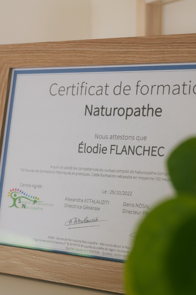 photo diplome Elodie Flanchec