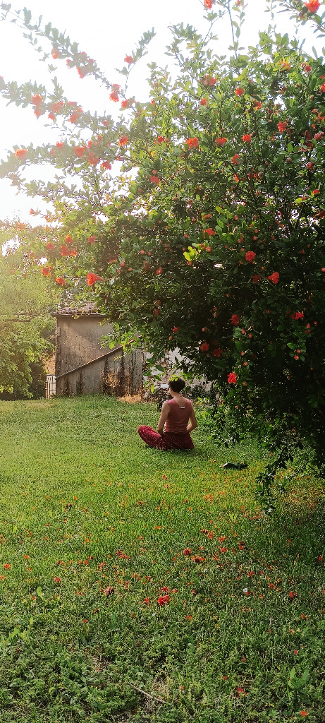 photo activite Shiatsu Sine Fine