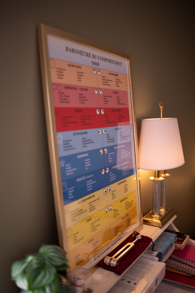 photo diplome ZORIKA CALES