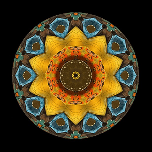 photo portrait Laurence Di Filippo