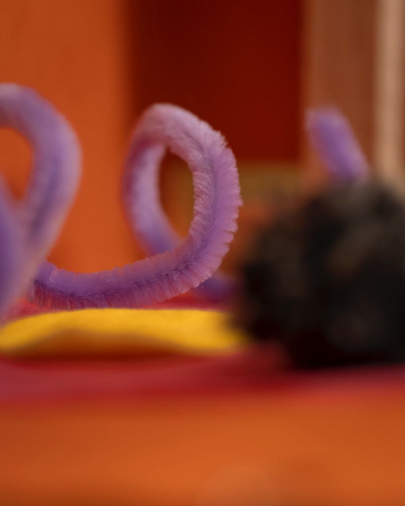 photo cabinet Elodie Bernard Lacroix