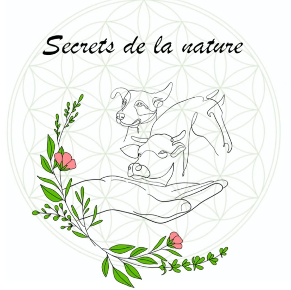 Secrets de la nature - Myrtille Finzel