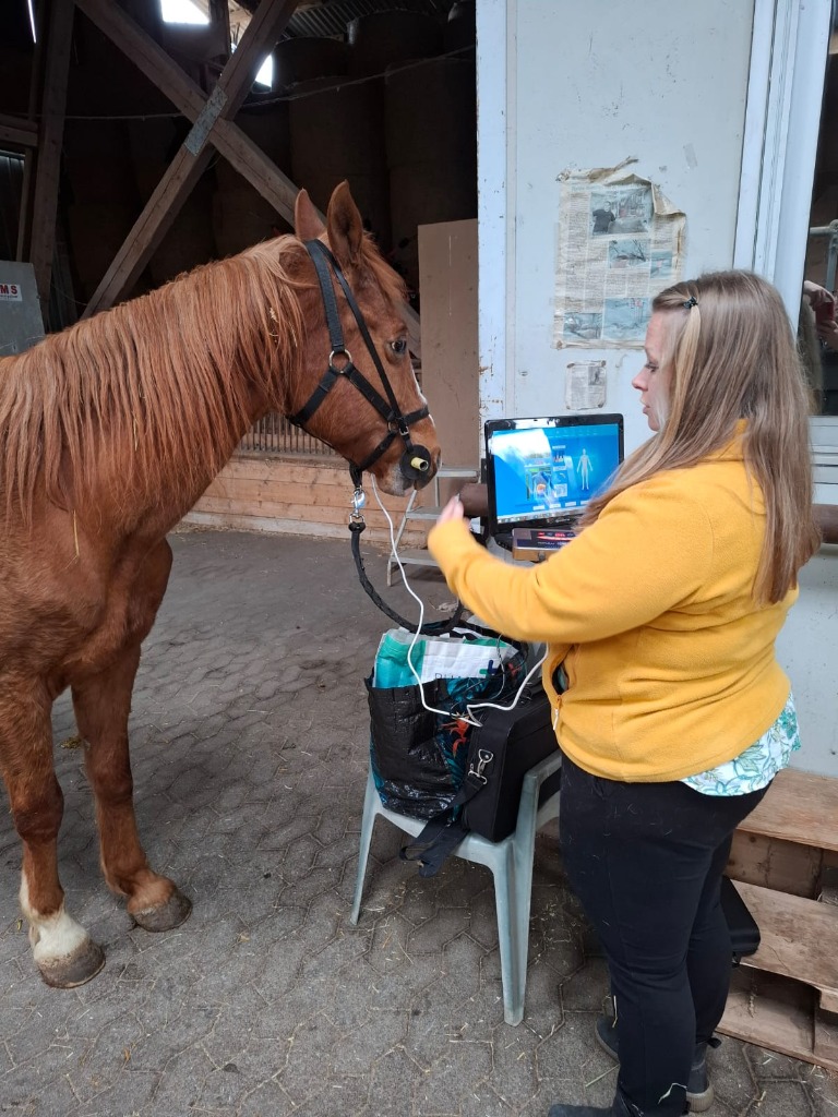 photo activite Secrets de la nature - Myrtille Finzel