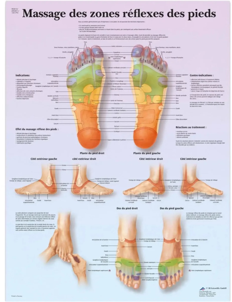 photo activite Virginie LAMY