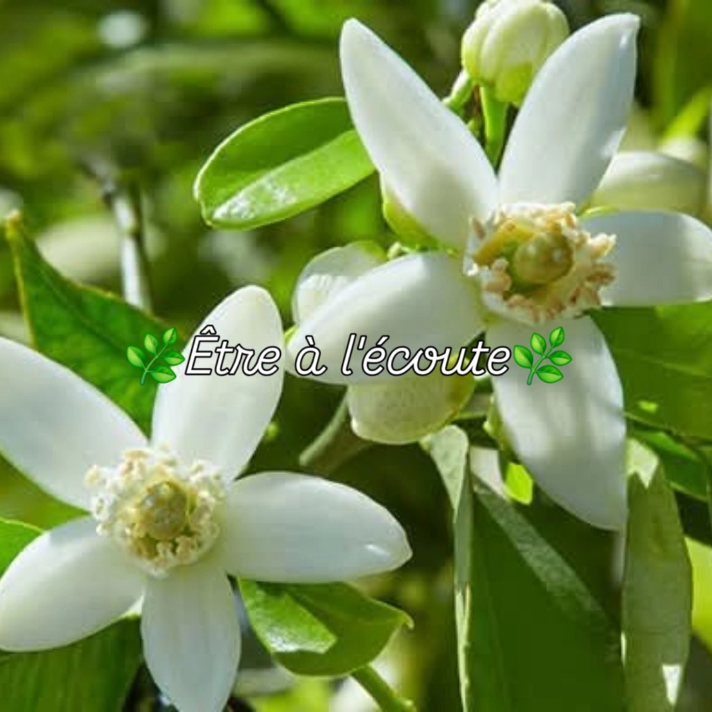 photo activite Val’aroma