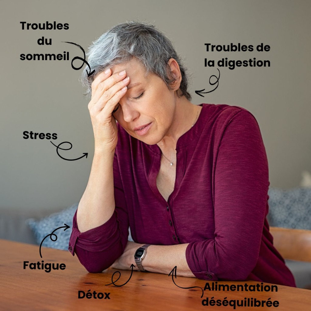 photo cabinet ELISABETH STELLA ROUSSEAU