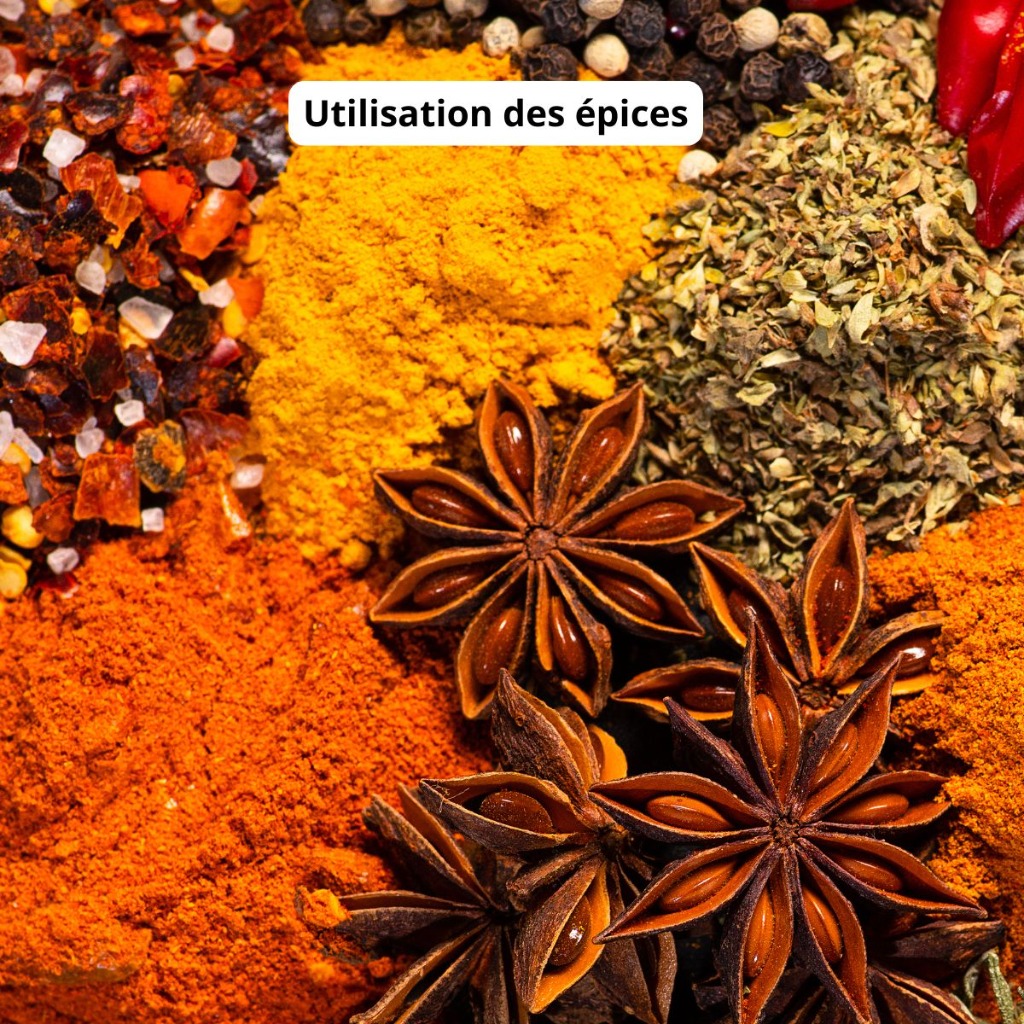 photo diplome ELISABETH STELLA ROUSSEAU