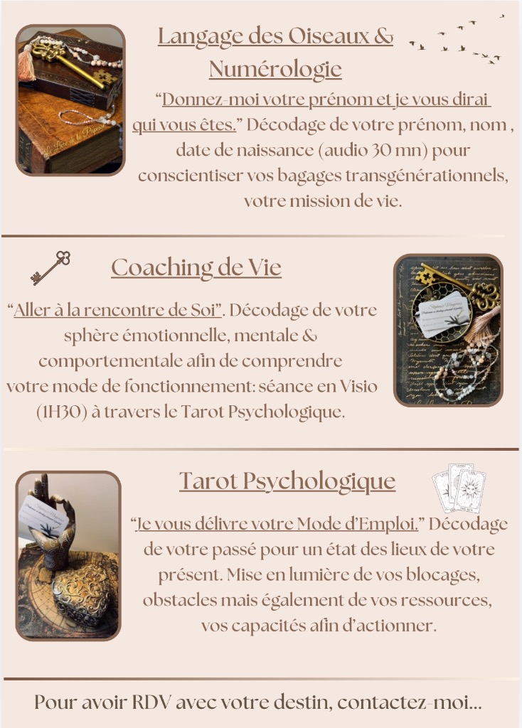 photo activite Stéphanie Manjerovic