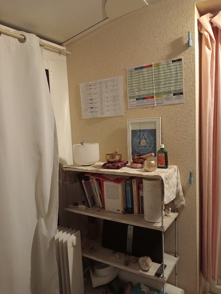 photo activite Véronique Zamparo 