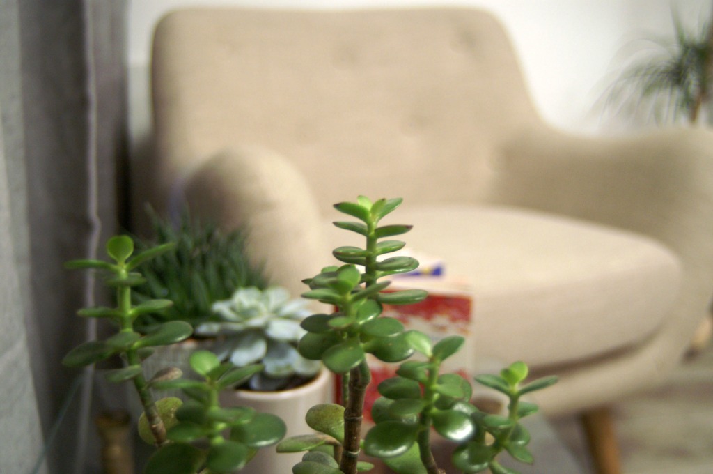 photo cabinet Véronique Bouvrie