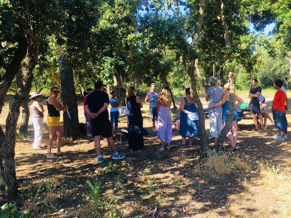 photo activite Martel Laurent