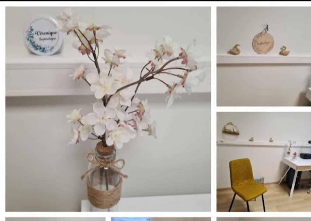 photo cabinet VERONQUE BLAISE 