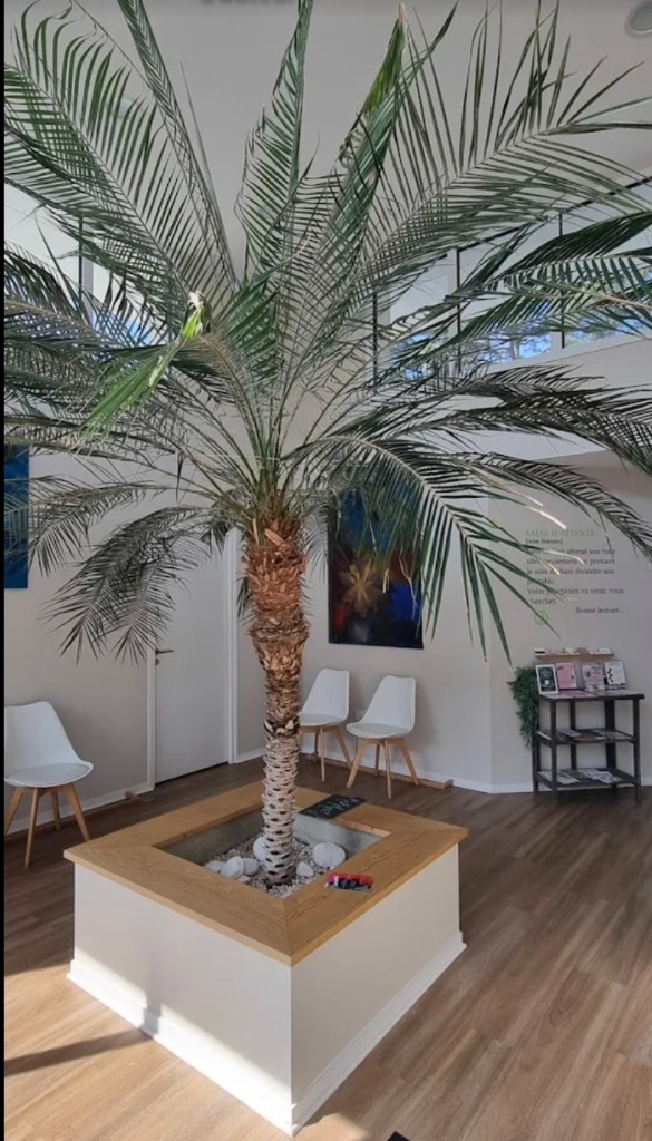 photo cabinet Caroline TIMON