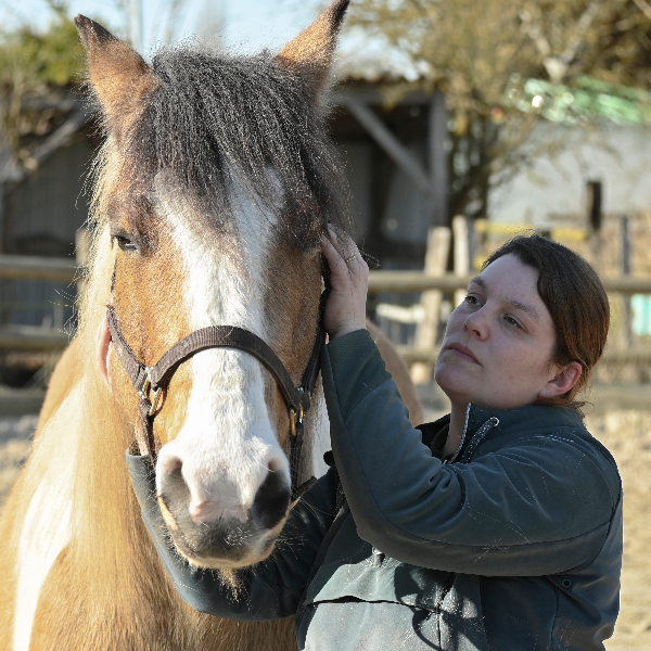 Chloé Poitevin Shiatsu Equin