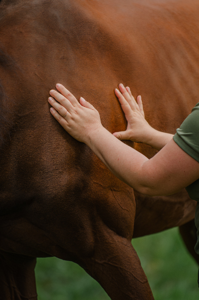 photo cabinet Chloé Poitevin Shiatsu Equin