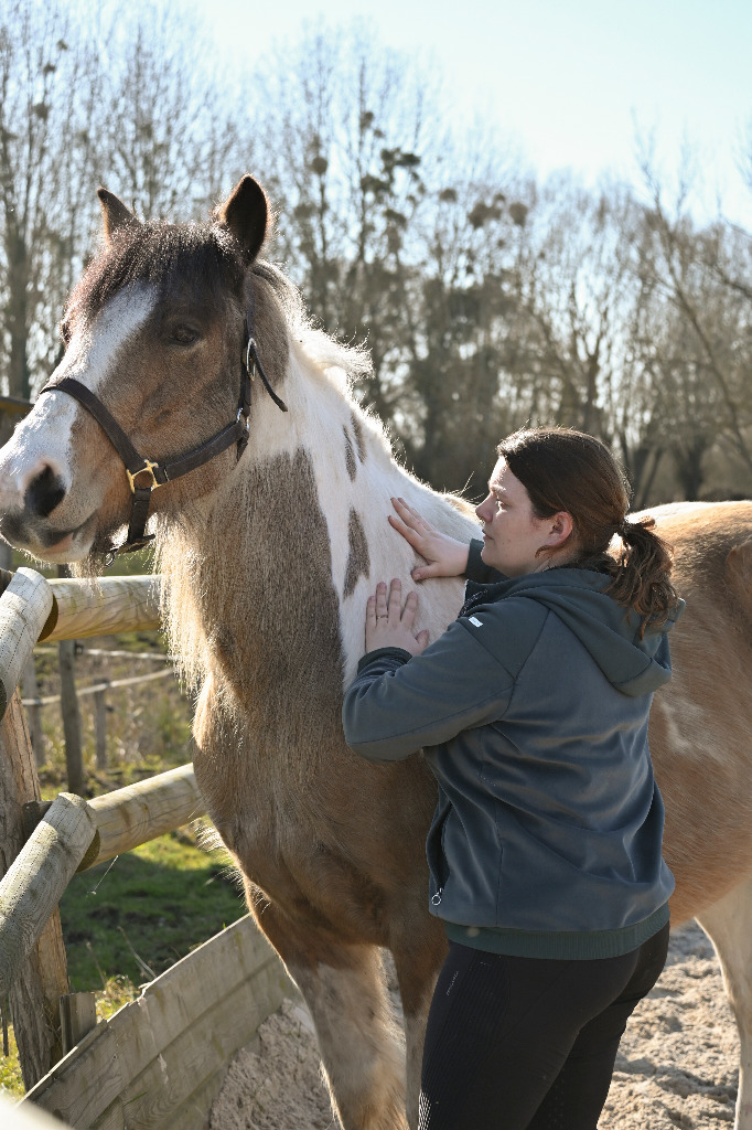 photo portrait Chloé Poitevin Shiatsu Equin