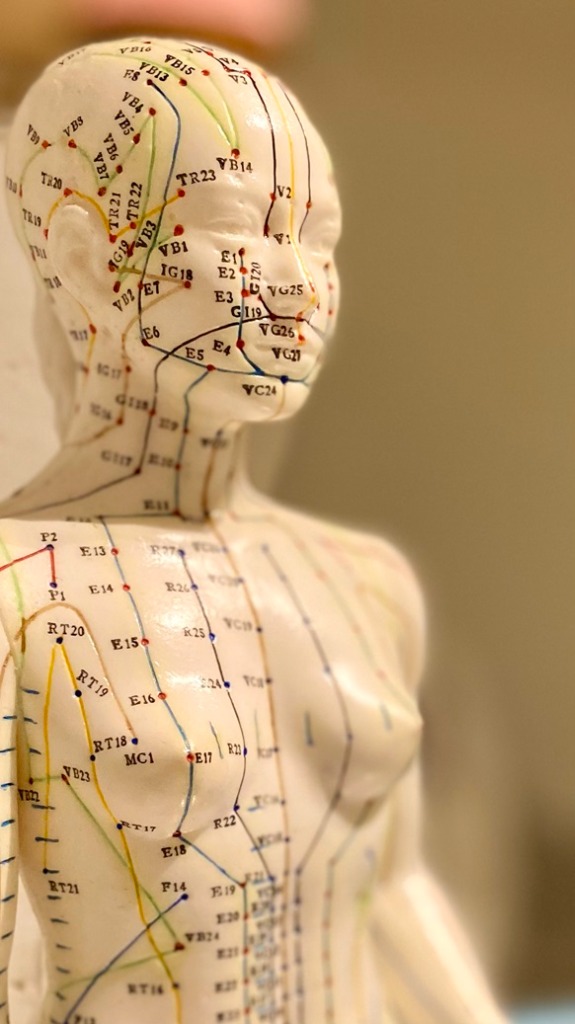 photo cabinet Marine Shiatsu - Atelier du Hara