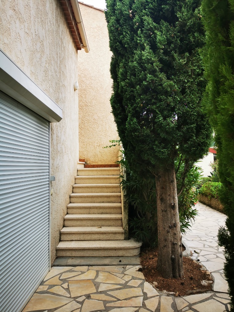 photo portrait Cecile Puljer