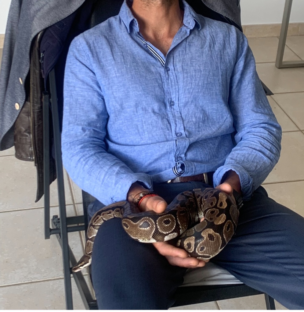 photo seance Neurona David Lux