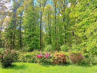 photo activite Dorothée Thérapie