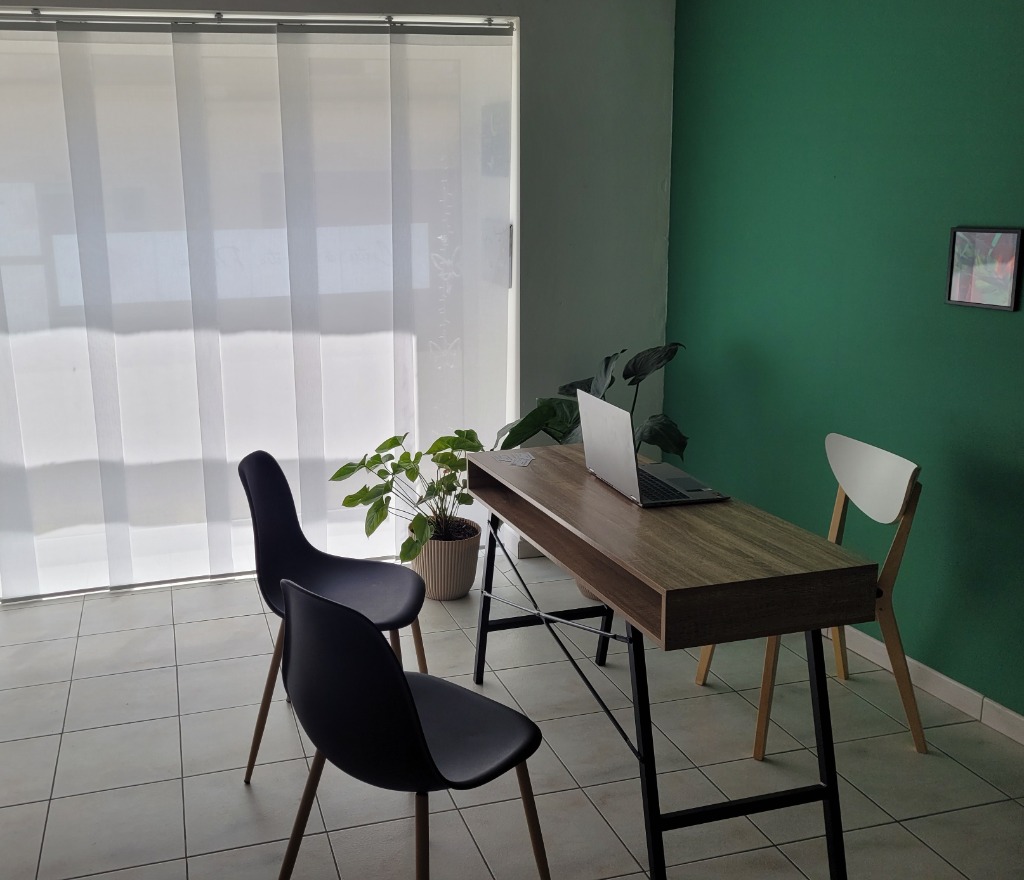 photo cabinet Camille Le Jallé