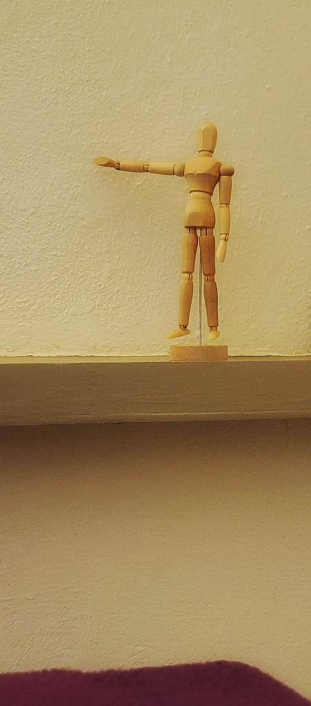 photo activite Steven Maché