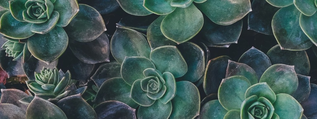 photo activite Audrey hadorn