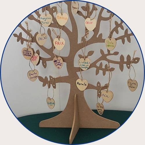 photo seance Emmanuelle GUEGUEN               Envol-sophrocoach