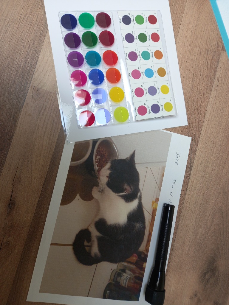 photo activite Ode aux Animaux