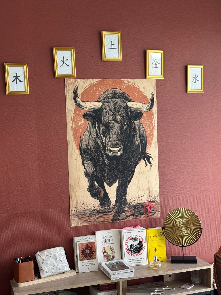 photo cabinet Laëtitia Fischer