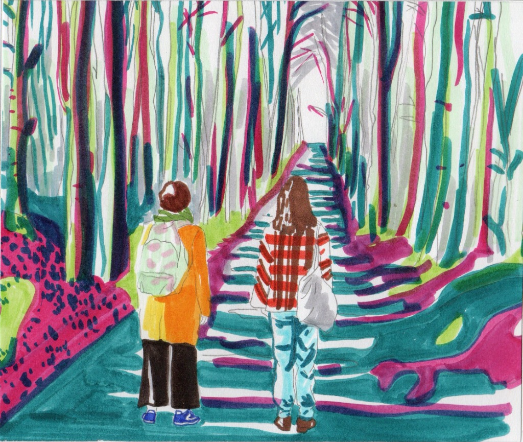 photo cabinet Marie Gillet