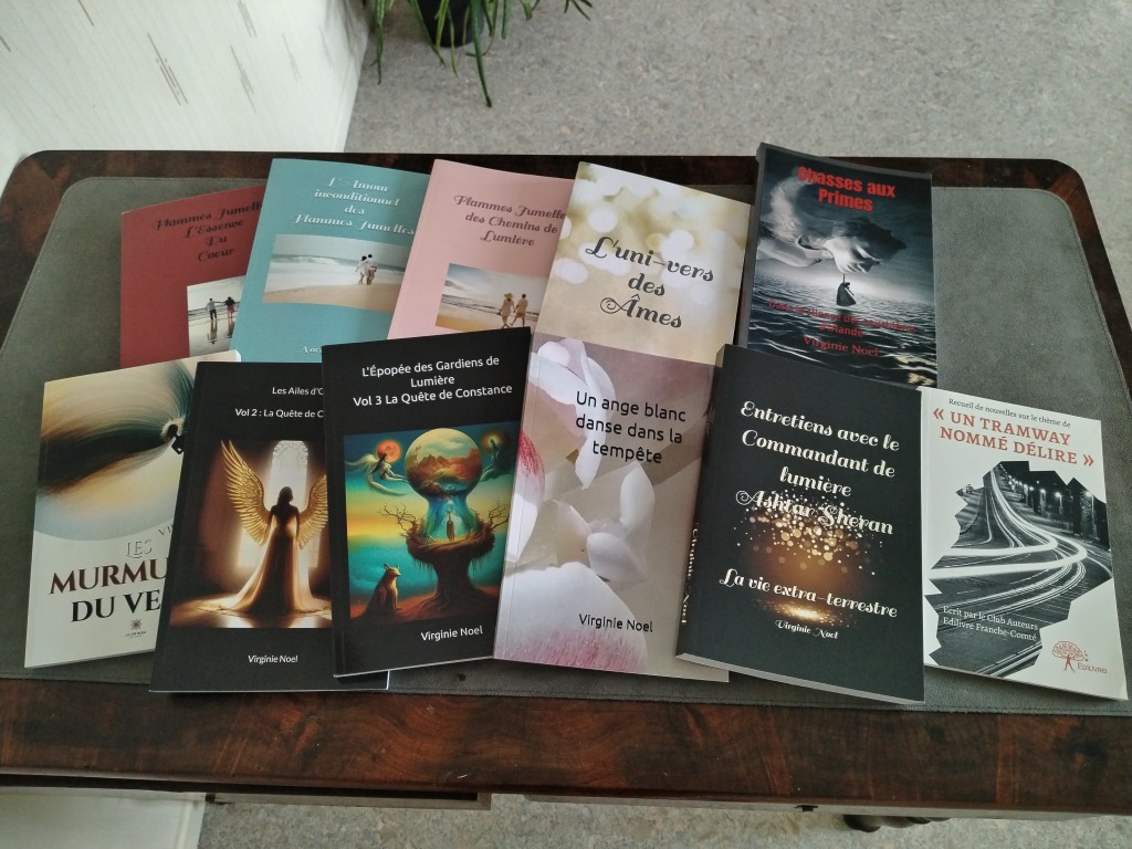 photo activite VIRGINIE NOEL