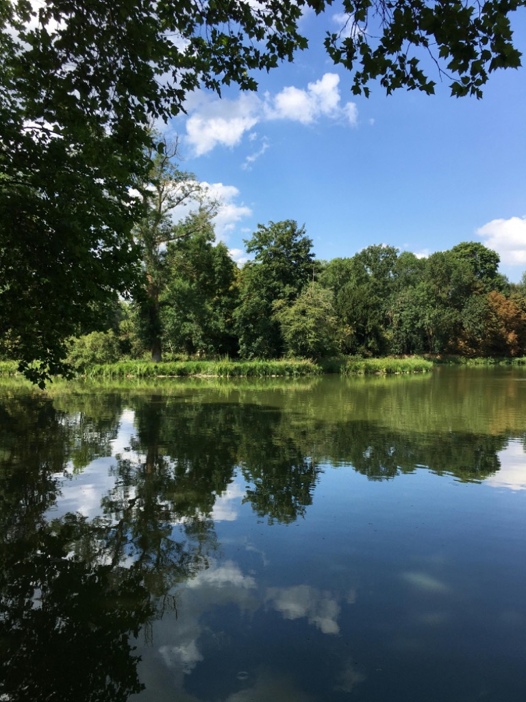 photo cabinet Naturobird