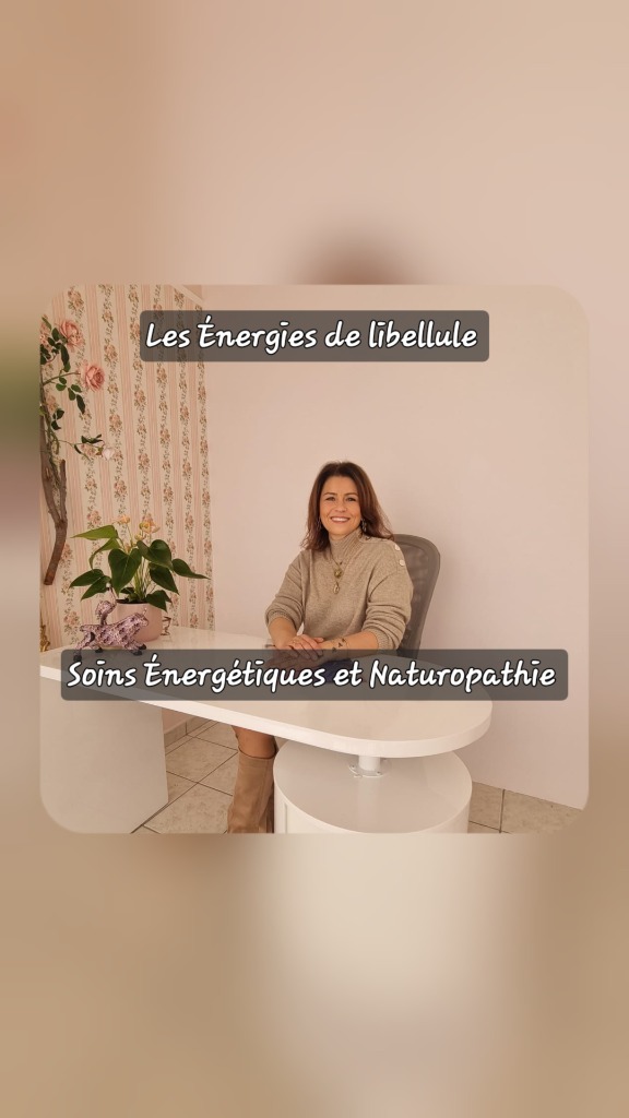 photo seance Les Énergies de libellule 