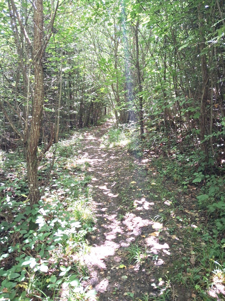 photo diplome Ducruet Sophie