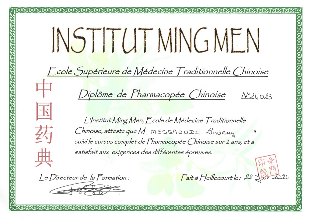 photo diplome Lindsay Messaoudi