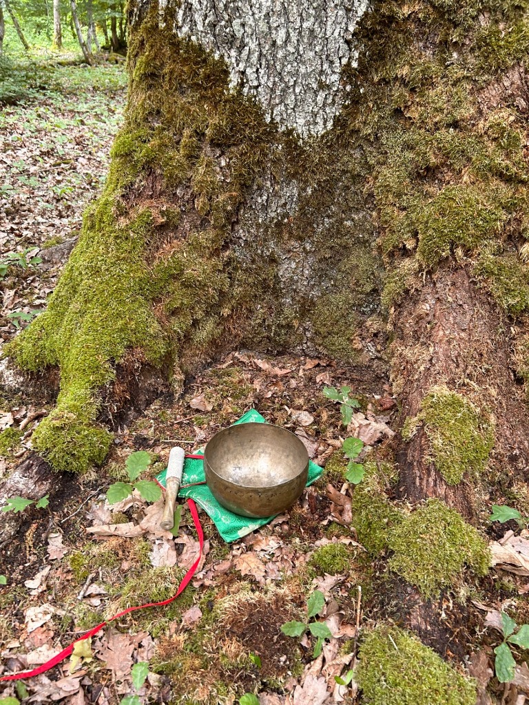 photo activite Nature et Sophrologie - Katia THENOT