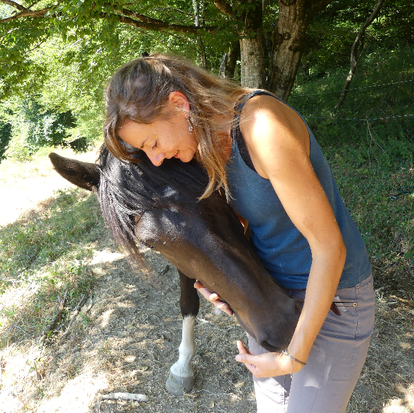 Chris Soin énergétique Equin