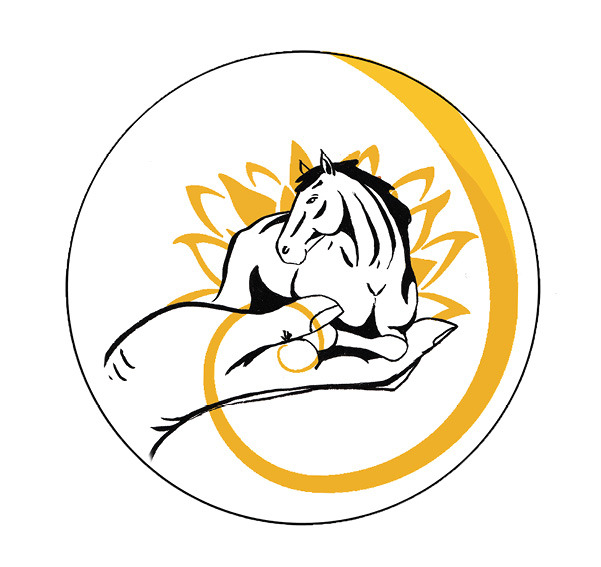 photo cabinet Chris Soin énergétique Equin