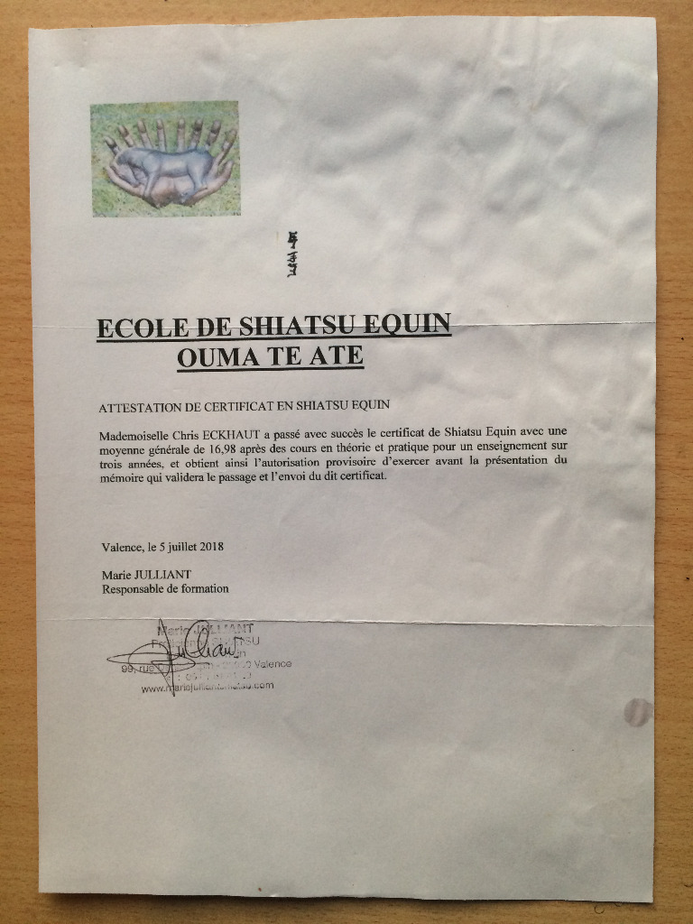 photo diplome Chris Soin énergétique Equin