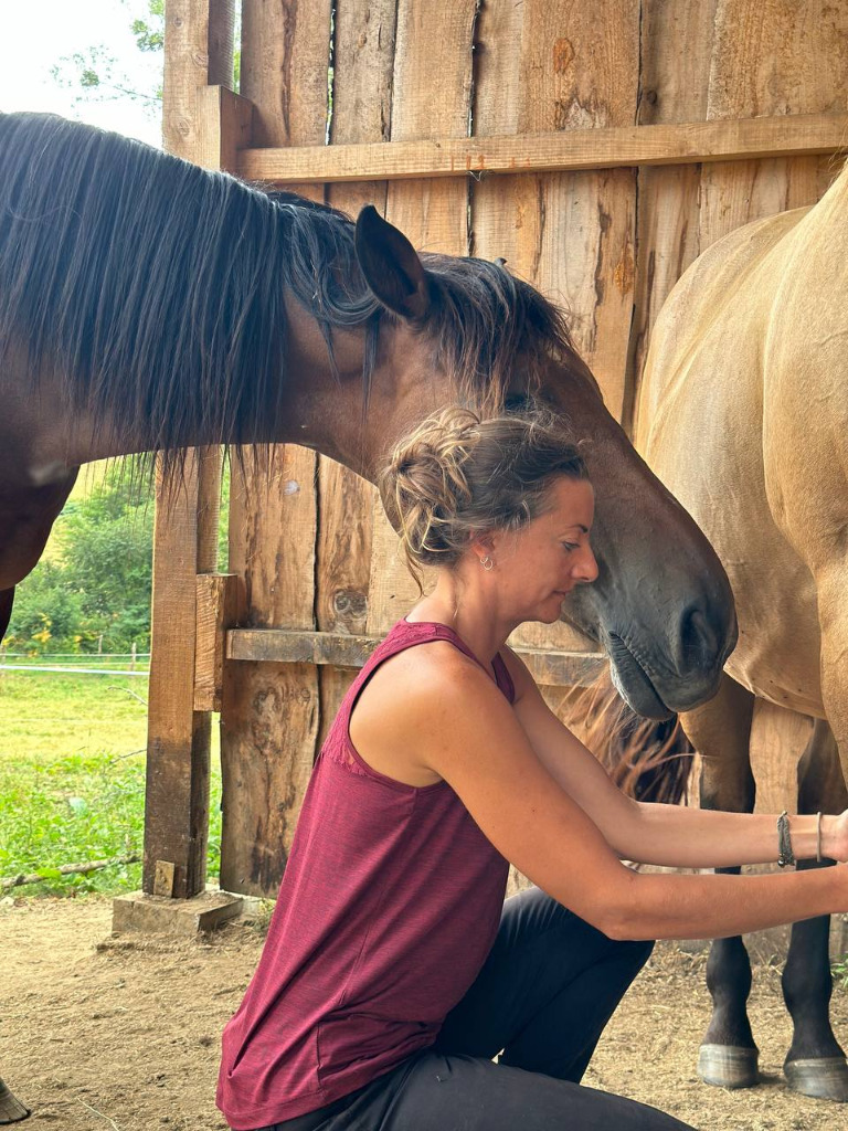 photo portrait Chris Soin énergétique Equin