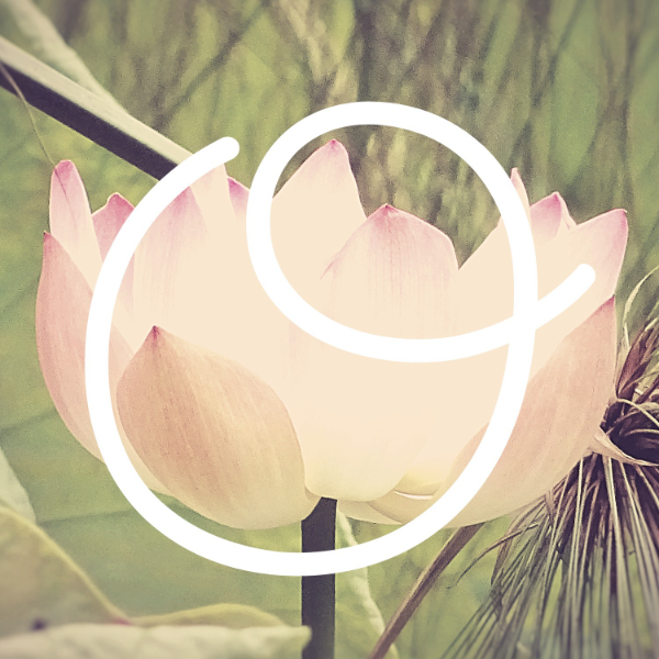 Bien-être dans les O