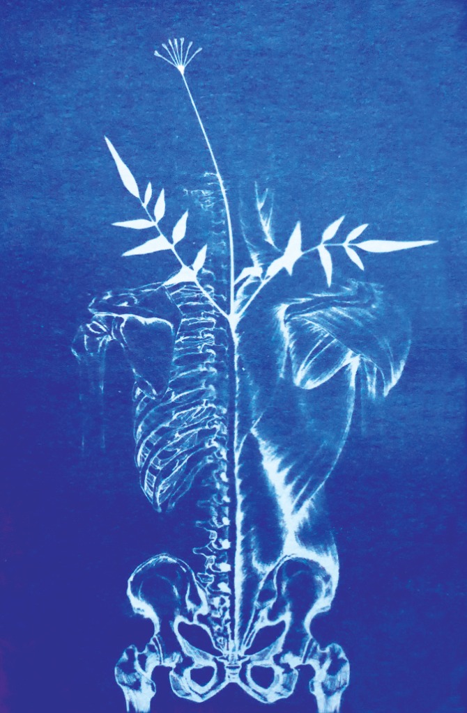 photo seance Leïla Gaudin