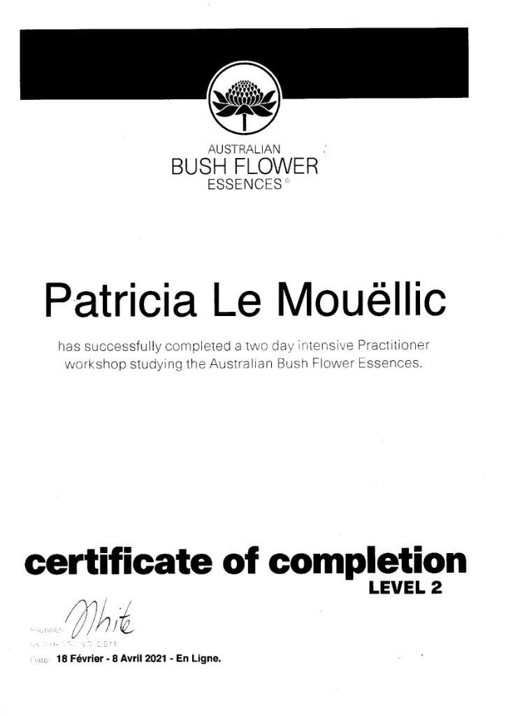 photo activite Patricia LE MOUËLLIC