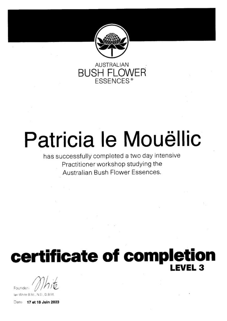 photo diplome Patricia LE MOUËLLIC