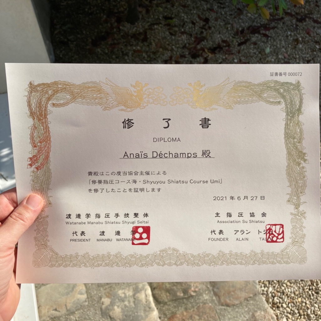 photo diplome Fleur de prunier