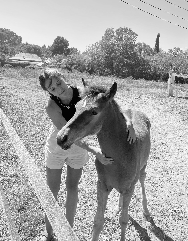 photo seance Léa Giret - Communication animale 