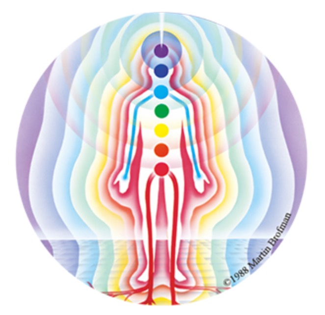 photo activite Laura Guyffroi