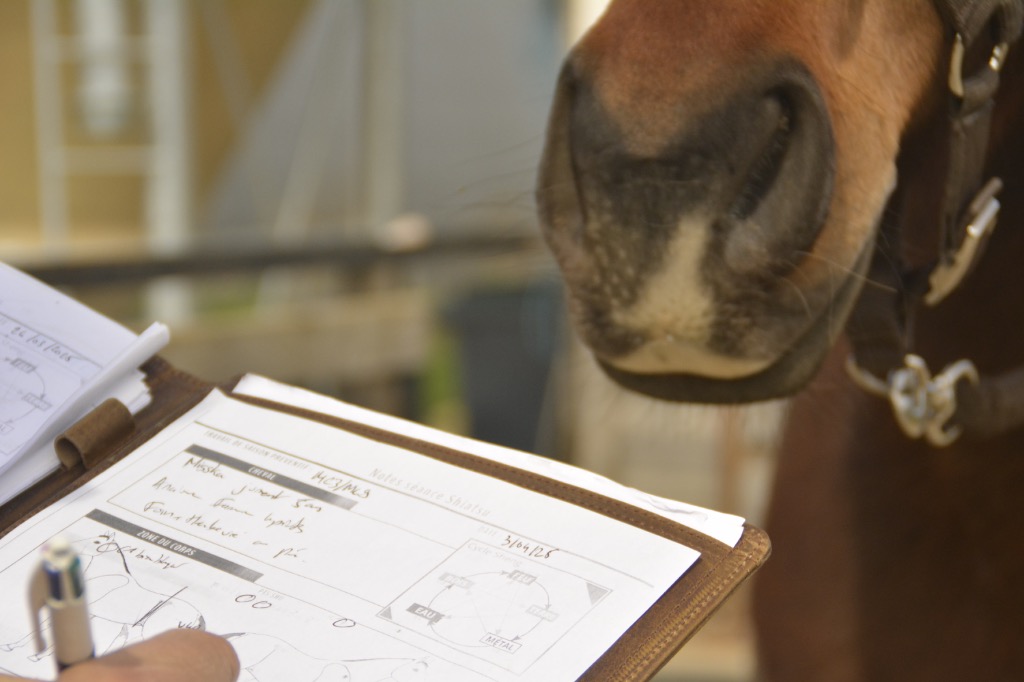 photo activite Rémy Serre 