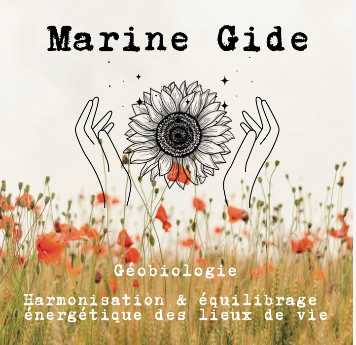 photo activite Marine Gide Géobiologie